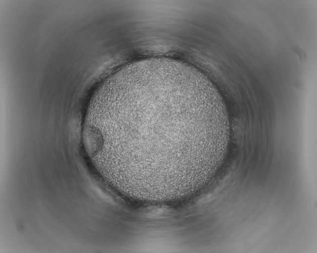 X0000112380642200909031953