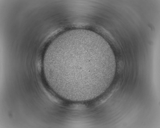 X0000112380644200909031953