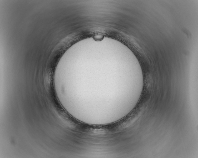 X0000112380645200909031953