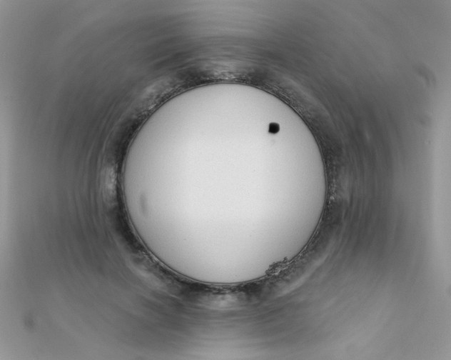 X0000112380646200909031953