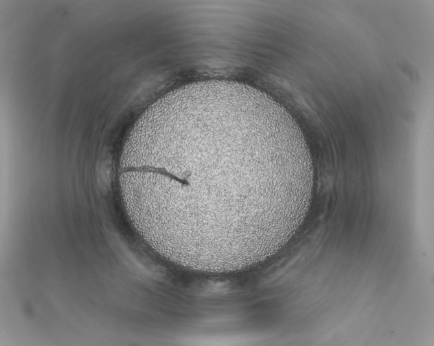 X0000112380647200909031953