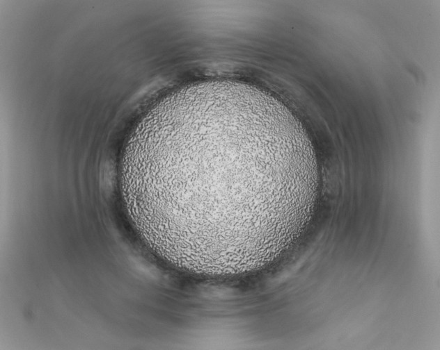 X0000112380648200909031953