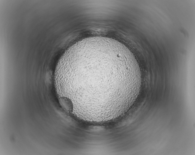 X0000112380649200909031953