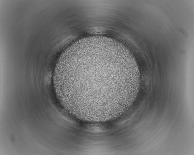 X0000112380652200909031953