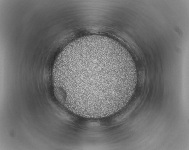 X0000112380653200909031953