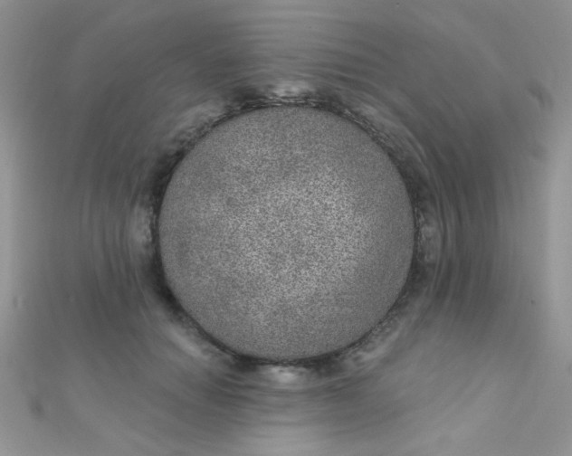 X0000112380654200909031953