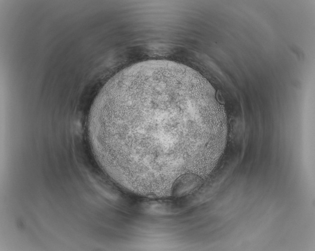 X0000112380655200909031953