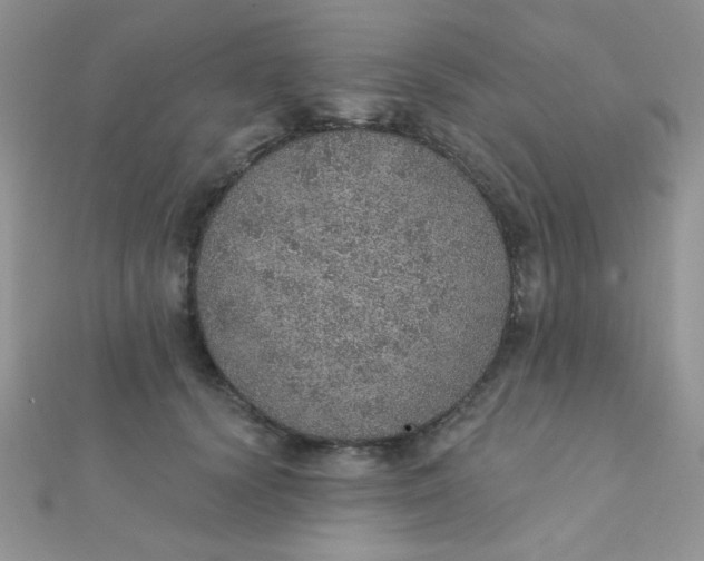 X0000112380656200909031953