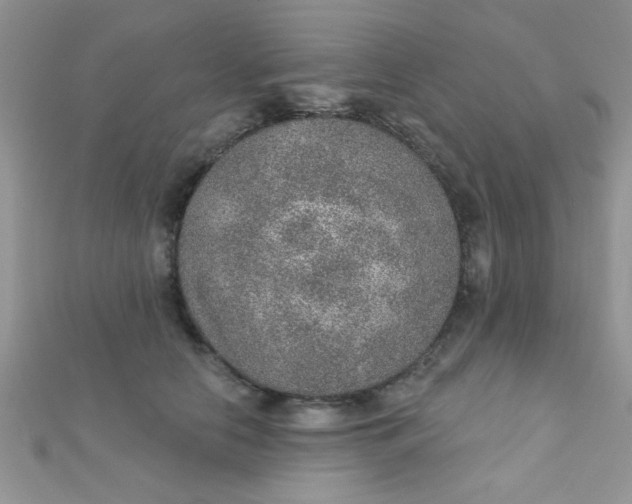 X0000112380658200909031953