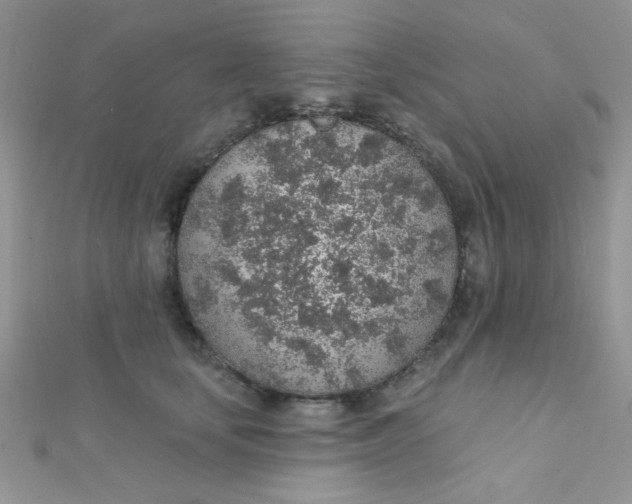 X0000112380659200909031953