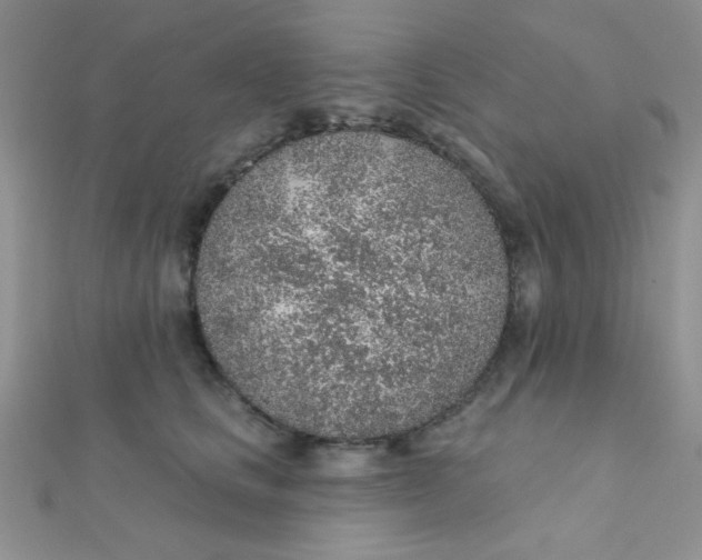 X0000112380661200909031953