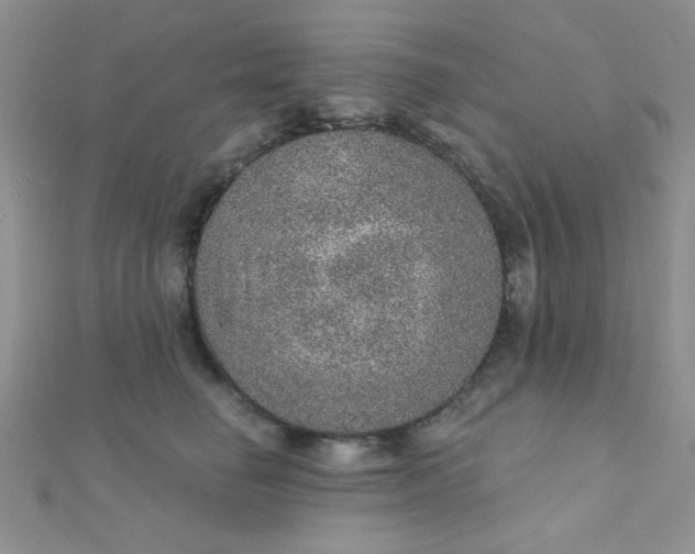 X0000112380662200909031953