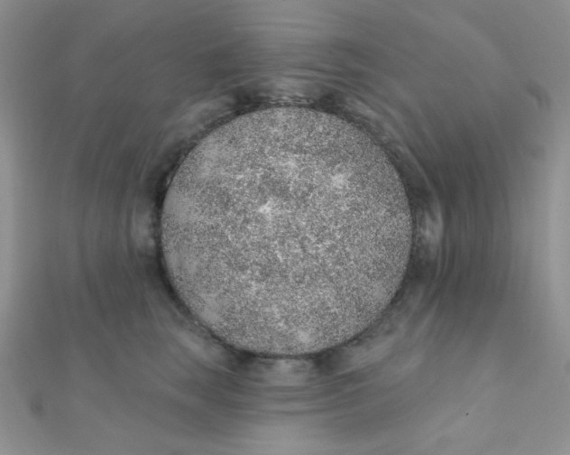 X0000112380663200909031953