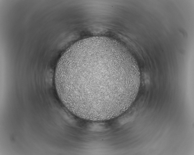 X0000112380664200909031953