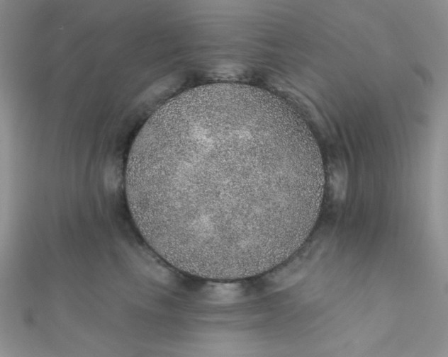 X0000112380665200909031953