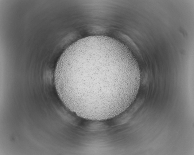 X0000112380669200909031953