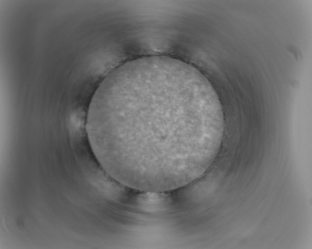 X0000112380672200909031953