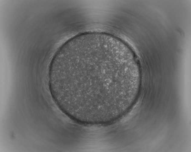 X0000112380673200909031953