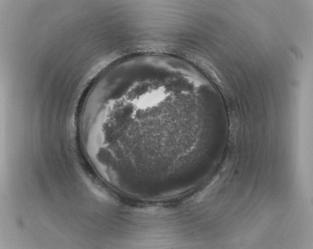 X0000112380674200909031953