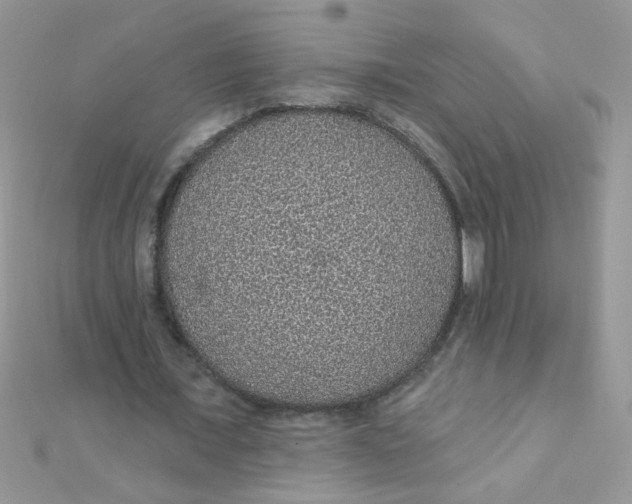 X0000112380675200909031953