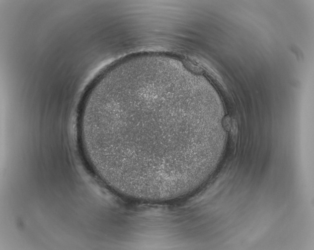 X0000112380676200909031953