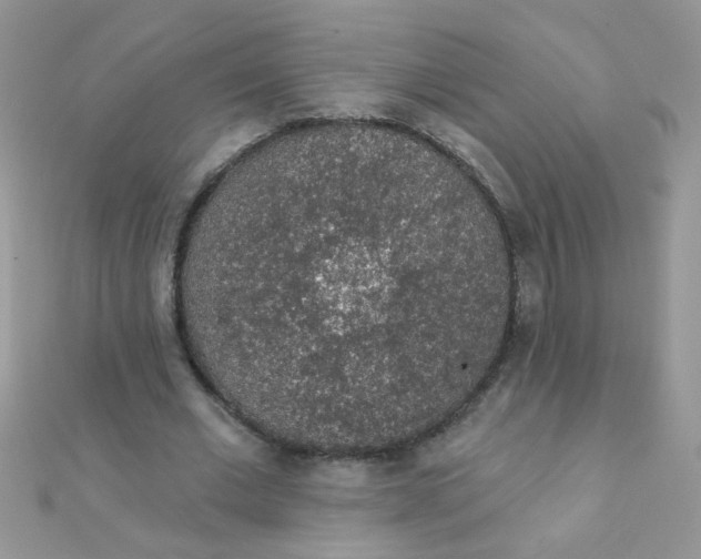 X0000112380677200909031953