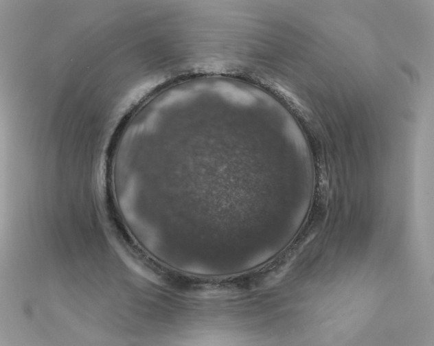 X0000112380678200909031953