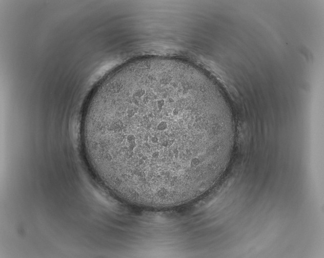 X0000112380679200909031953