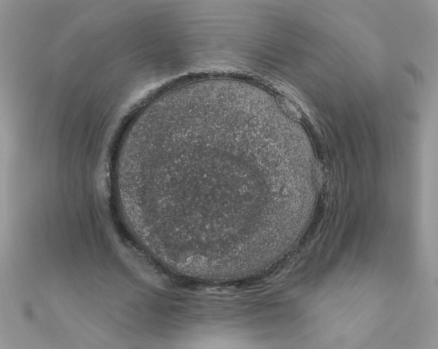 X0000112380680200909031953