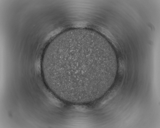 X0000112380681200909031953