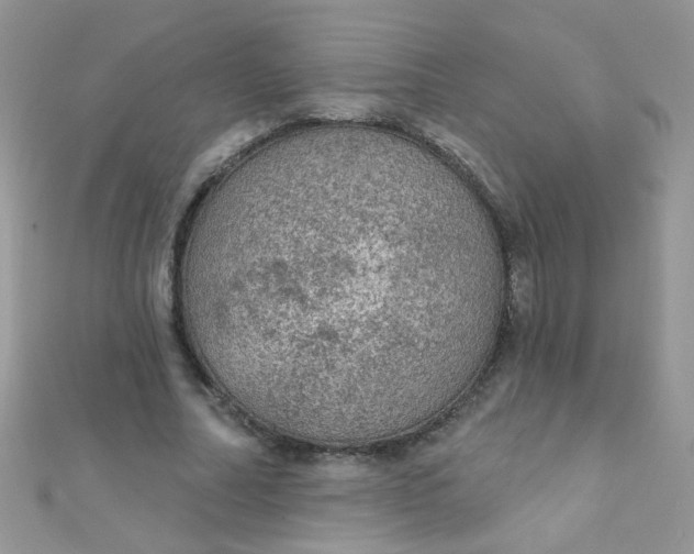 X0000112380682200909031953