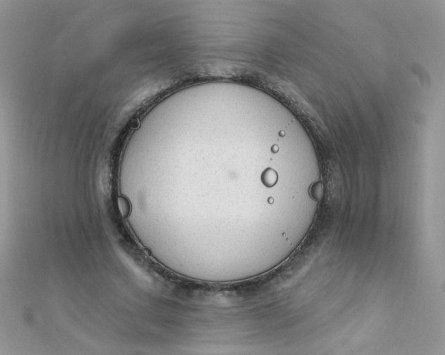 X0000112380683200909031953