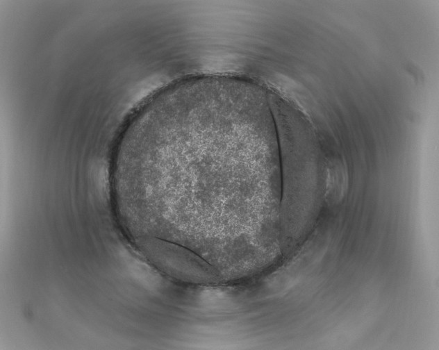 X0000112380684200909031953