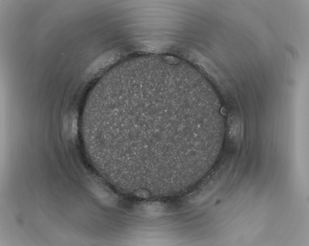 X0000112380685200909031953