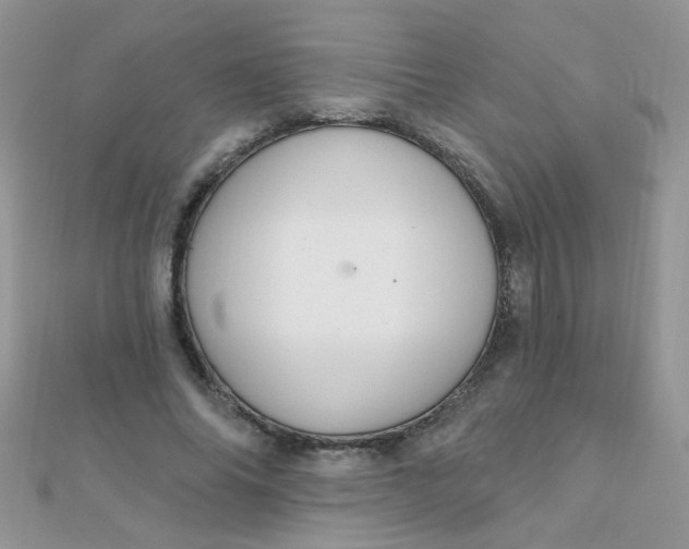 X0000112380686200909031953