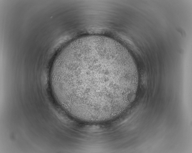 X0000112380687200909031953