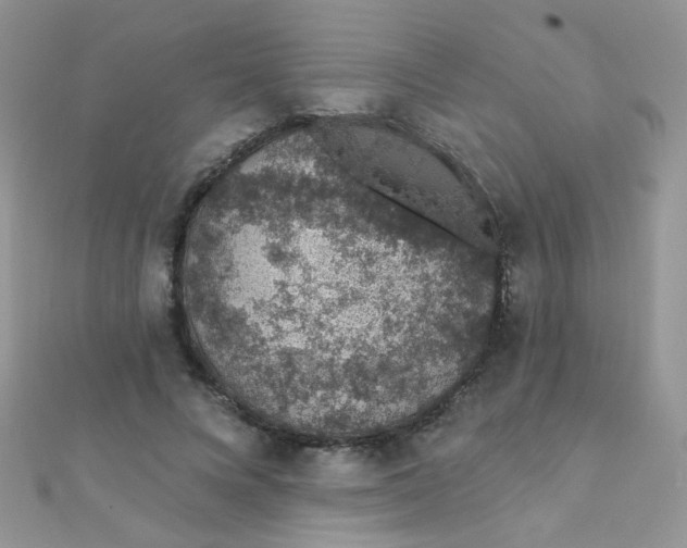 X0000112380688200909031953