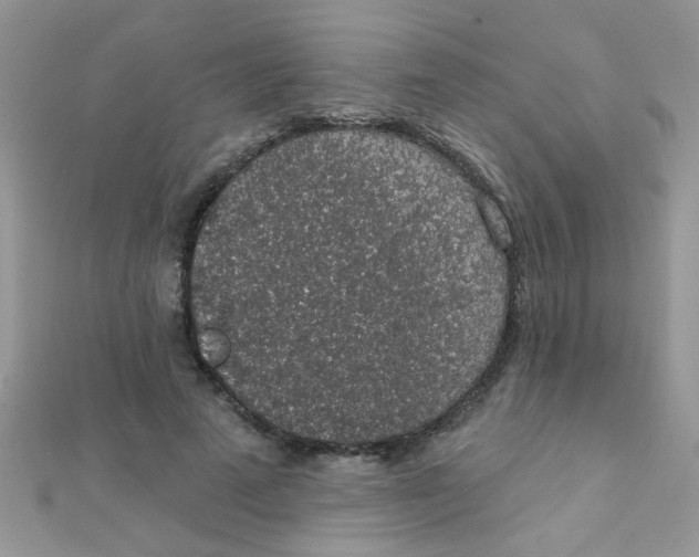 X0000112380689200909031953