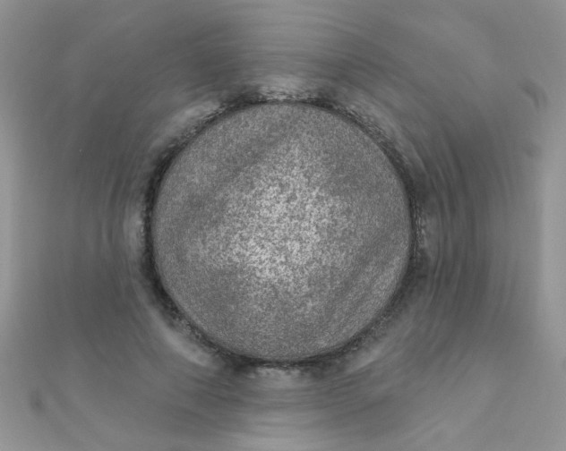 X0000112380690200909031953