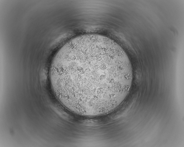 X0000112380691200909031953