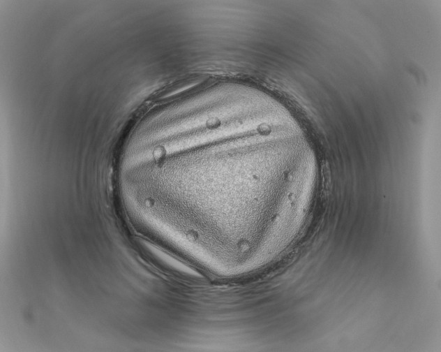 X0000112380692200909031953