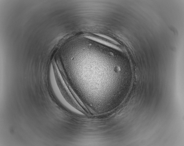 X0000112380693200909031953