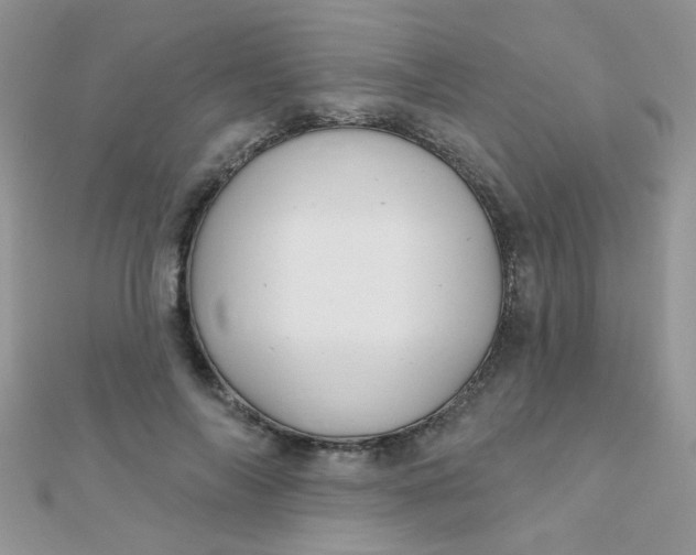 X0000112380694200909031953