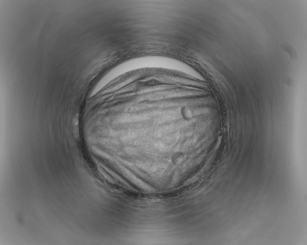 X0000112380696200909031952