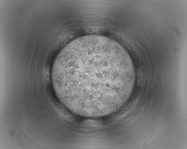 X0000112380699200909031952