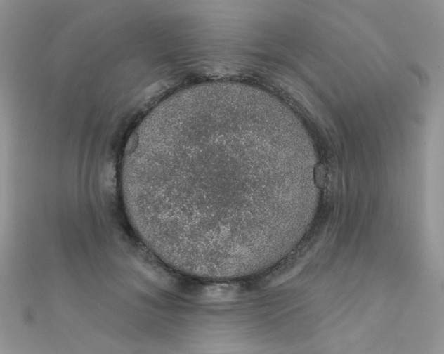 X0000112380700200909031952