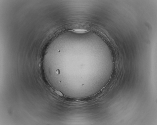 X0000112380701200909031952