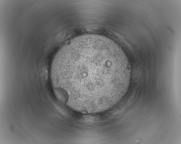 X0000112380703200909031952