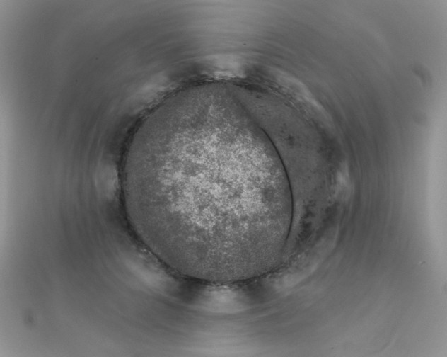 X0000112380704200909031952