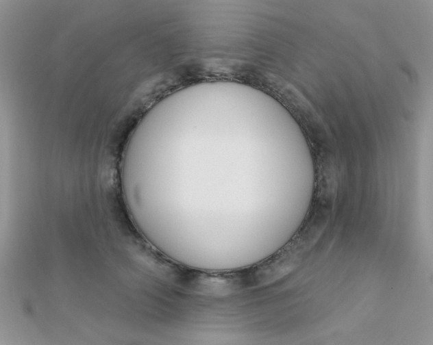 X0000112380706200909031952